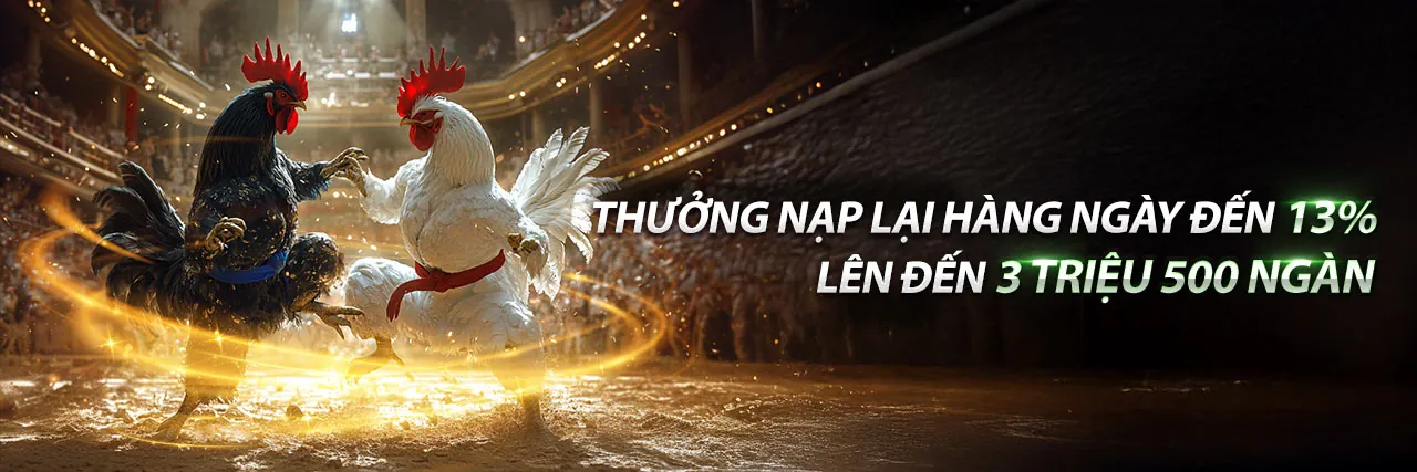 Hình ảnh chính king33 casino