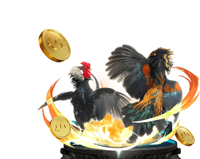 Giao diện cá cược đá gà king33 casino